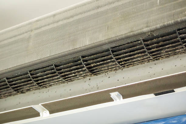 Best HVAC System Cleaning  in Excelsior, MN