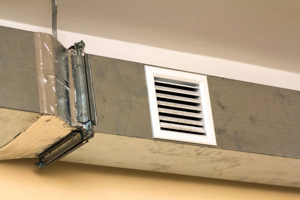 Best Professional Duct Cleaning Services  in Excelsior, MN